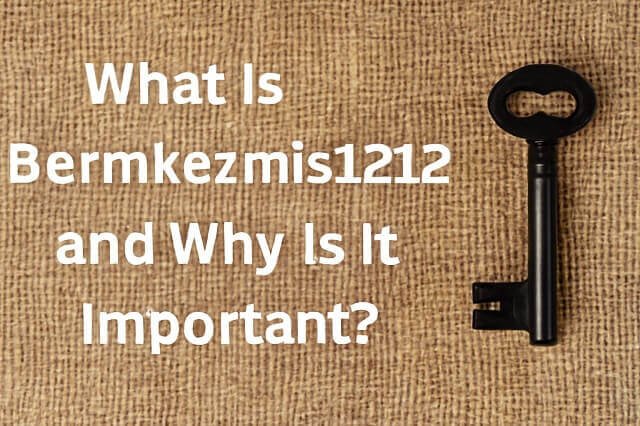 What Is Bermkezmis1212