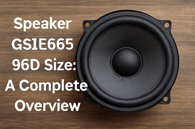 Speaker GS1E665 960 Size: A Complete Overview